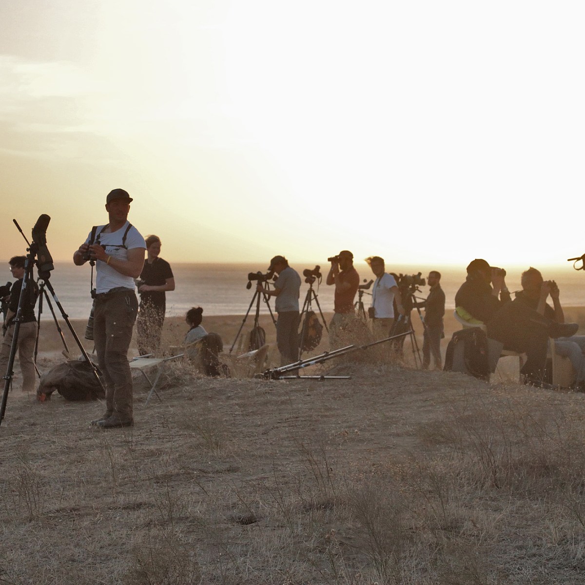 Late October / early November impressions by Michael&nbsp;Hoit