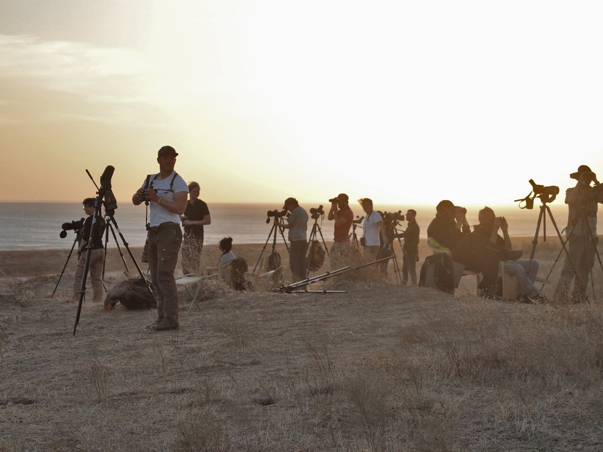 Late October / early November impressions by Michael&nbsp;Hoit