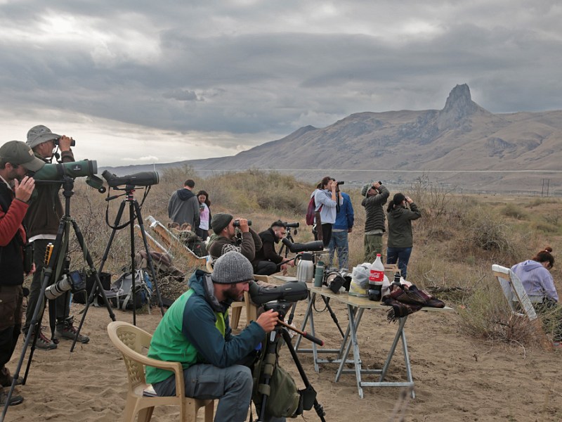 Visitors at the Besh Barmag Bird Migration&nbsp;Count
