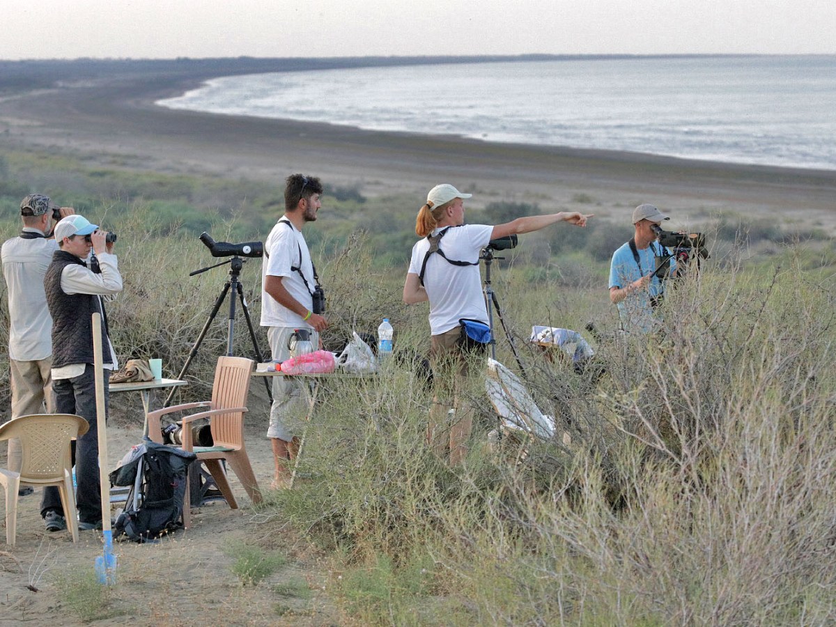 Rare sightings and good bird migration in the second half of September at Besh&nbsp;Barmag