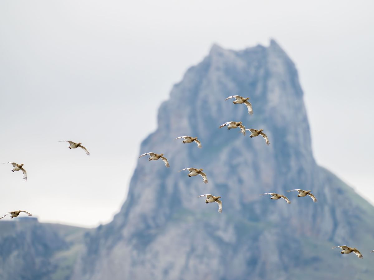 Exciting and spectacular October at Besh Barmag&nbsp;bottleneck!