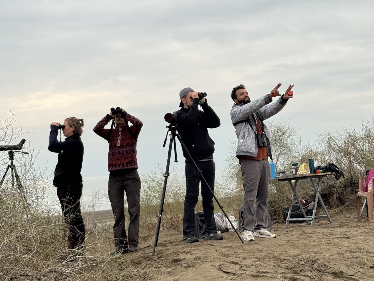 First 10 days of the autumn count 2024 are&nbsp;complete!