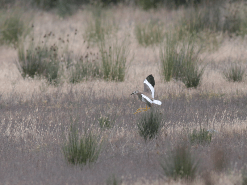 3 Day Trip – Southern&nbsp;Azerbaijan