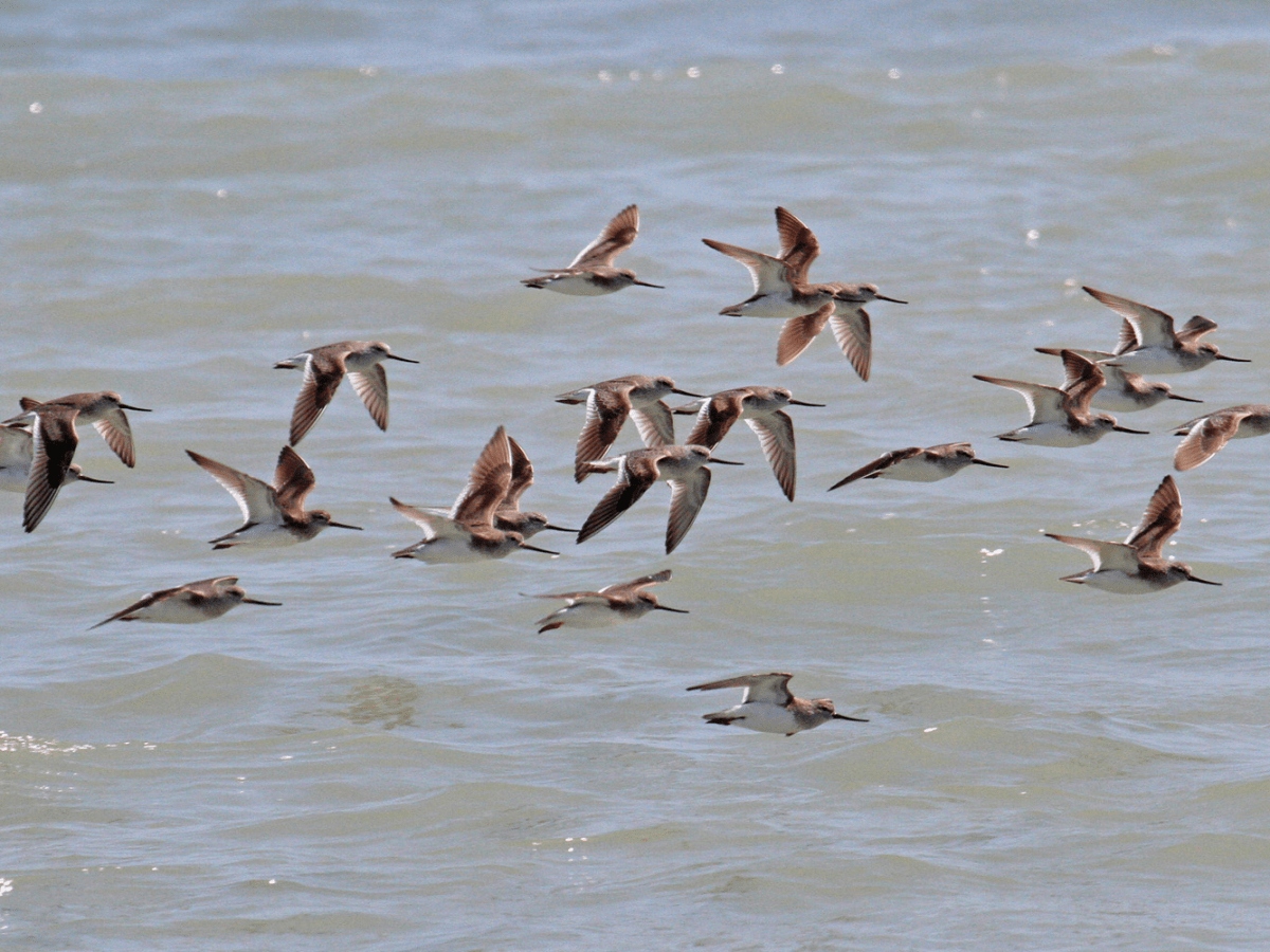Day trip – Absheron National&nbsp;Park