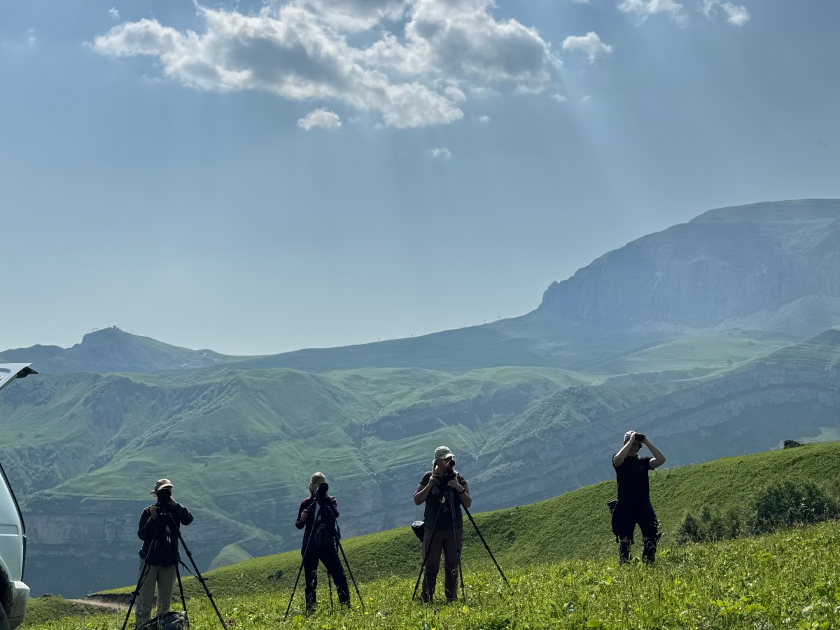Birding Azerbaijan in 2025. A Year in&nbsp;Review